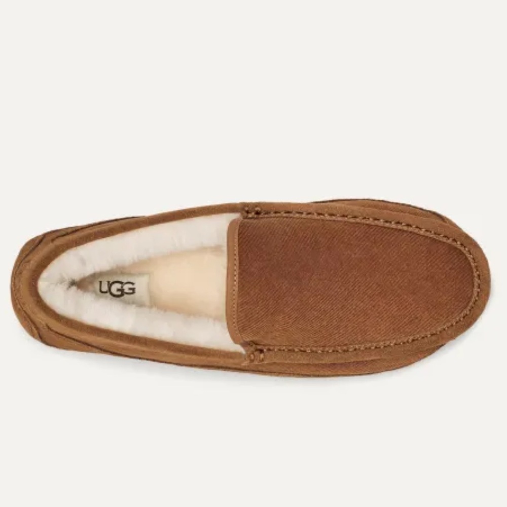 Ascot Corduroy Ii Slipper